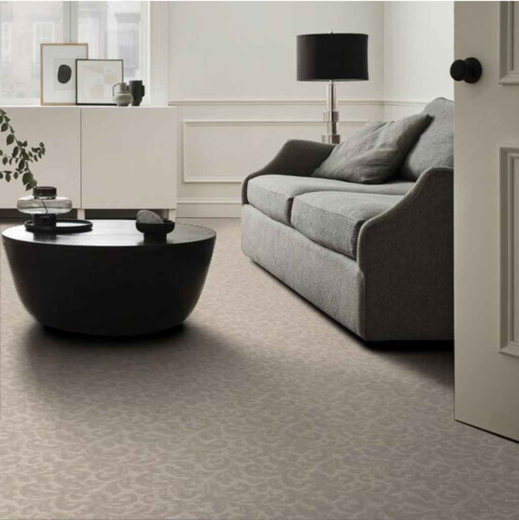 Screen Shot 2022-03-03 at 12.30.13 PM carpet dupuy flooring