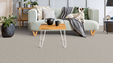 carpet dupuy flooring