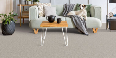 carpet dupuy flooring